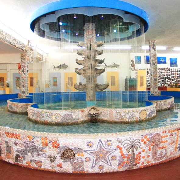 Museo de Conchas de Mazatlán